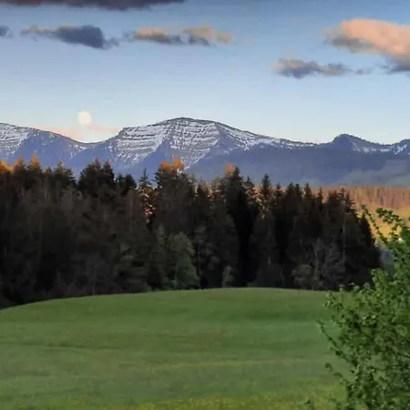 Fruehstueckspension Bilgeri 3*
