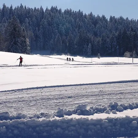 Fruehstueckspension Bilgeri Sulzberg (Bregenz)