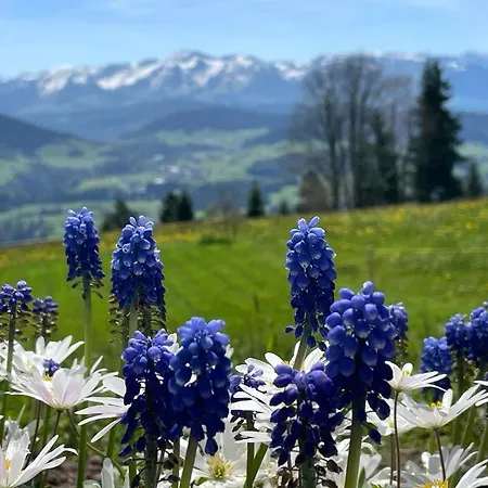 Fruehstueckspension Bilgeri Pensjonat