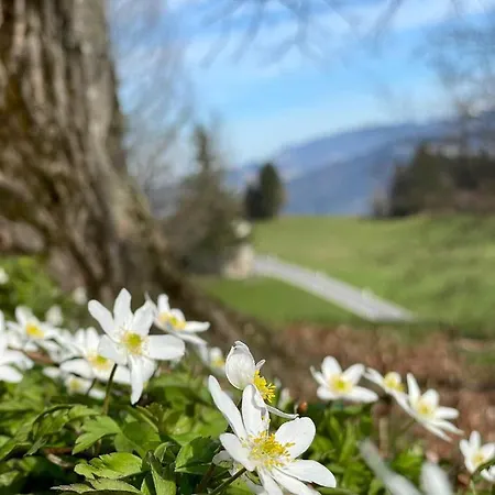 Fruehstueckspension Bilgeri