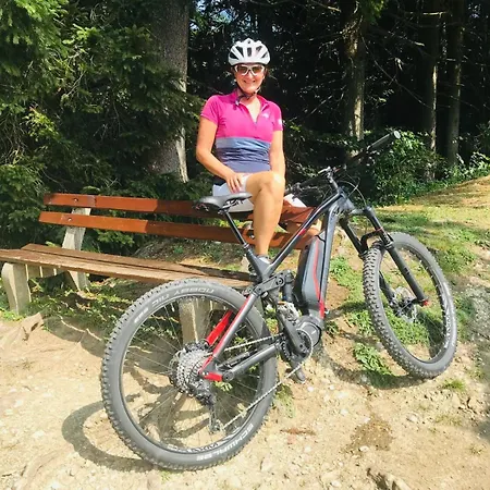 Fruehstueckspension Bilgeri Πανσιόν Sulzberg (Bregenz)