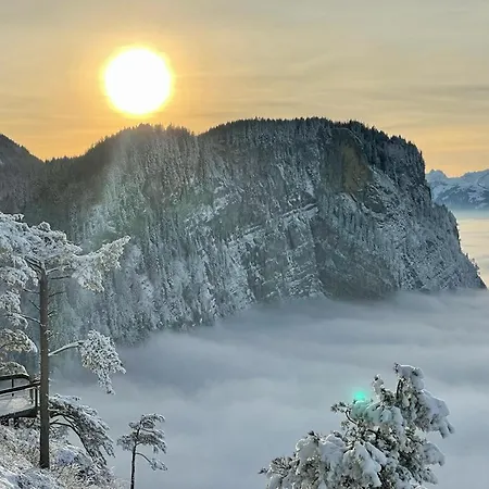 Fruehstueckspension Bilgeri Πανσιόν 3*